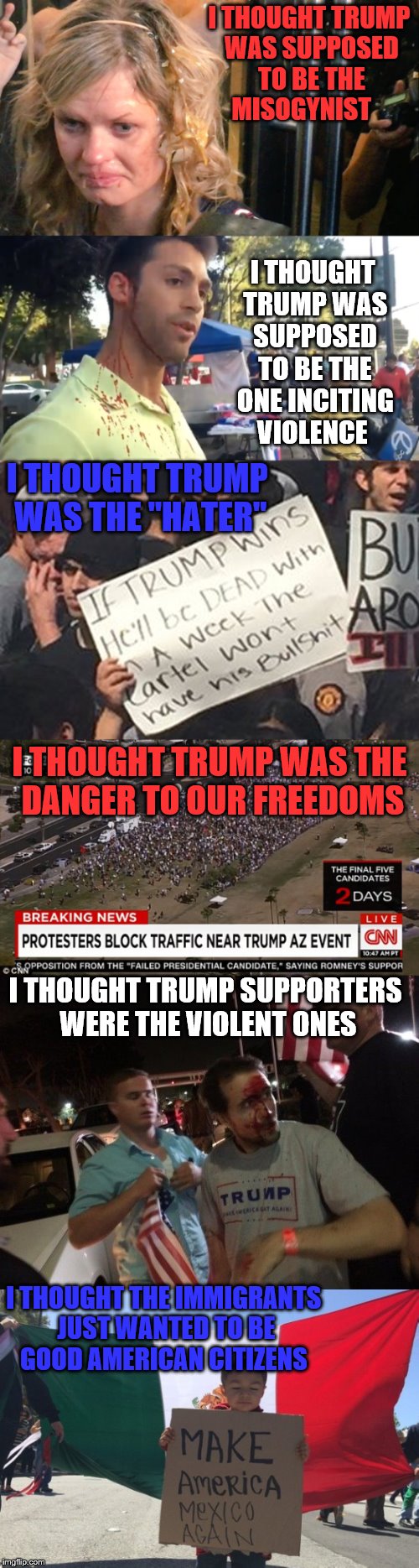 It looks to me like the protestors are the brown shirts.  | I THOUGHT TRUMP WAS SUPPOSED TO BE THE  MISOGYNIST; I THOUGHT TRUMP WAS SUPPOSED TO BE THE ONE INCITING VIOLENCE; I THOUGHT TRUMP WAS THE "HATER"; I THOUGHT TRUMP WAS THE DANGER TO OUR FREEDOMS; I THOUGHT TRUMP SUPPORTERS WERE THE VIOLENT ONES; I THOUGHT THE IMMIGRANTS JUST WANTED TO BE GOOD AMERICAN CITIZENS | image tagged in memes,trump protestors | made w/ Imgflip meme maker