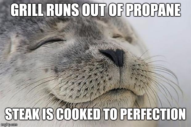 Satisfied Seal | GRILL RUNS OUT OF PROPANE; STEAK IS COOKED TO PERFECTION | image tagged in memes,satisfied seal,AdviceAnimals | made w/ Imgflip meme maker