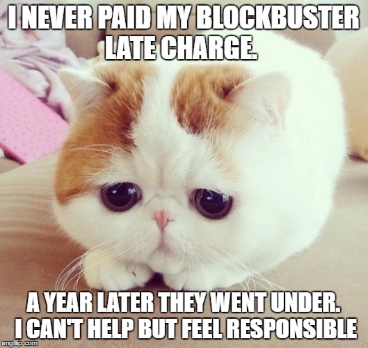 Sad Cat | I NEVER PAID MY BLOCKBUSTER LATE CHARGE. A YEAR LATER THEY WENT UNDER. I CAN'T HELP BUT FEEL RESPONSIBLE | image tagged in sad cat | made w/ Imgflip meme maker