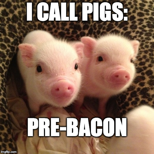 The cuter the pig the tastier the bacon. | I CALL PIGS:; PRE-BACON | image tagged in piglets,bacon,iwanttobebacon,pre bacon | made w/ Imgflip meme maker