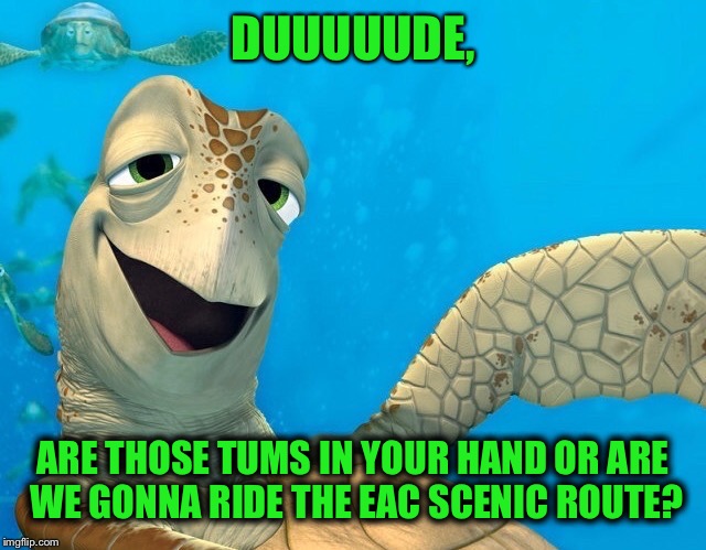DUUUUUDE, ARE THOSE TUMS IN YOUR HAND OR ARE WE GONNA RIDE THE EAC SCENIC ROUTE? | made w/ Imgflip meme maker