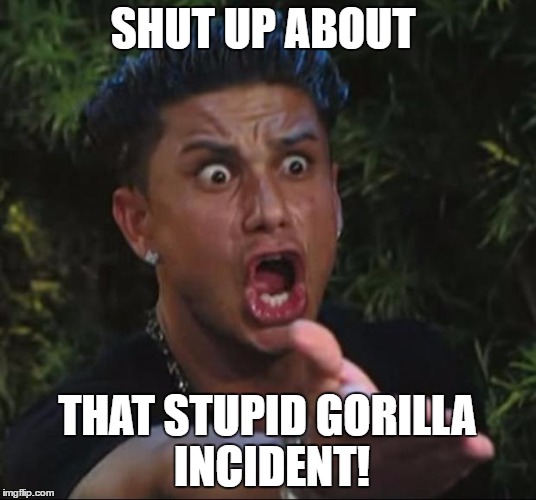 DJ Pauly D Meme |  SHUT UP ABOUT; THAT STUPID GORILLA INCIDENT! | image tagged in memes,dj pauly d | made w/ Imgflip meme maker