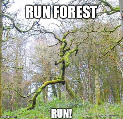 RUN FOREST RUN! | made w/ Imgflip meme maker