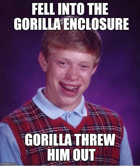 Bad Luck Brian Meme | FELL INTO THE GORILLA ENCLOSURE; GORILLA THREW HIM OUT | image tagged in memes,bad luck brian | made w/ Imgflip meme maker