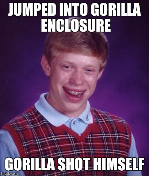 Bad Luck Brian | JUMPED INTO GORILLA ENCLOSURE; GORILLA SHOT HIMSELF | image tagged in memes,bad luck brian | made w/ Imgflip meme maker