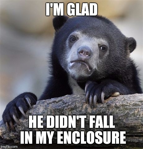Confession Bear |  I'M GLAD; HE DIDN'T FALL IN MY ENCLOSURE | image tagged in memes,confession bear | made w/ Imgflip meme maker