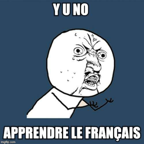 Y U No Meme | Y U NO APPRENDRE LE FRANÇAIS | image tagged in memes,y u no | made w/ Imgflip meme maker