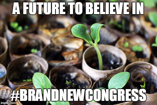 Seedling | A FUTURE TO BELIEVE IN; #BRANDNEWCONGRESS | image tagged in seedling | made w/ Imgflip meme maker