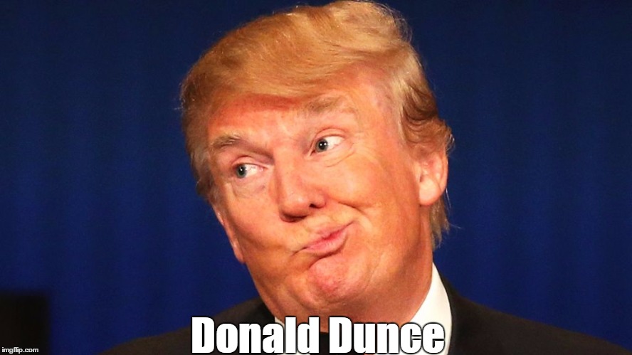 Image result for donald dunce "pax on both houses"