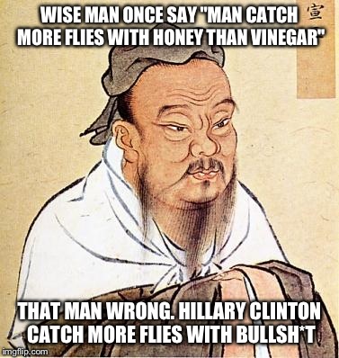 Flies just naturally gravitate towards BS! | WISE MAN ONCE SAY "MAN CATCH MORE FLIES WITH HONEY THAN VINEGAR"; THAT MAN WRONG. HILLARY CLINTON CATCH MORE FLIES WITH BULLSH*T | image tagged in confucious say,funny,memes,hillary clinton | made w/ Imgflip meme maker
