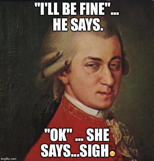 Mozart Not Sure Meme |  "I'LL BE FINE"... HE SAYS. "OK" ... SHE SAYS...SIGH😑 | image tagged in memes,mozart not sure | made w/ Imgflip meme maker