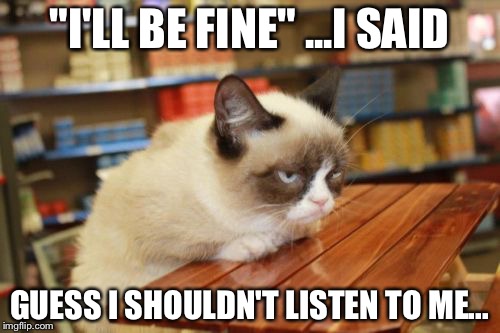 Grumpy Cat Table | "I'LL BE FINE" ...I SAID; GUESS I SHOULDN'T LISTEN TO ME... | image tagged in memes,grumpy cat table | made w/ Imgflip meme maker