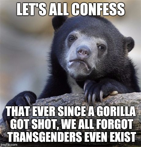 Confession Bear | LET'S ALL CONFESS; THAT EVER SINCE A GORILLA GOT SHOT, WE ALL FORGOT TRANSGENDERS EVEN EXIST | image tagged in memes,confession bear | made w/ Imgflip meme maker