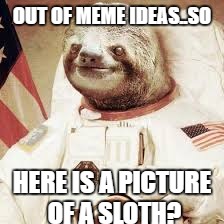 Out of ideas | OUT OF MEME IDEAS..SO; HERE IS A PICTURE OF A SLOTH? | image tagged in meme | made w/ Imgflip meme maker
