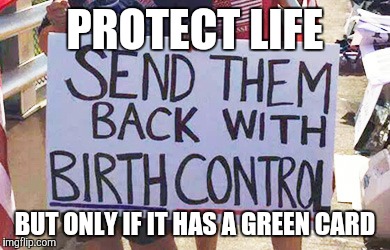 PROTECT LIFE; BUT ONLY IF IT HAS A GREEN CARD | image tagged in funny memes,memes,pro life,pro choice,illegal immigration,immigration | made w/ Imgflip meme maker