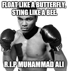 And we say goodbye to a boxing legend. | FLOAT LIKE A BUTTERFLY, STING LIKE A BEE. R.I.P MUHAMMAD ALI | image tagged in muhammad ali | made w/ Imgflip meme maker