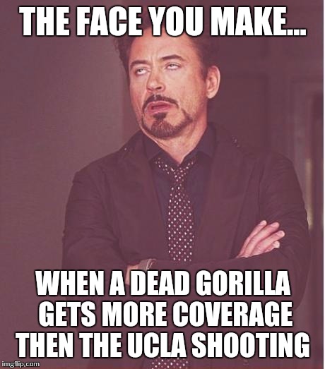Face You Make Robert Downey Jr Meme | THE FACE YOU MAKE... WHEN A DEAD GORILLA GETS MORE COVERAGE THEN THE UCLA SHOOTING | image tagged in memes,face you make robert downey jr | made w/ Imgflip meme maker