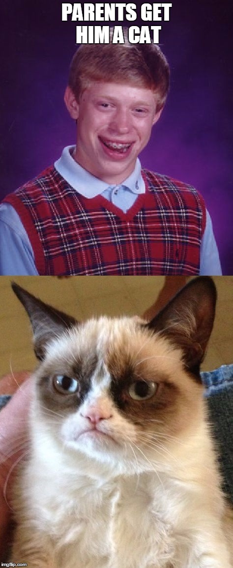 Bad Luck Brian gets a cat | PARENTS GET HIM A CAT | image tagged in bad luck brian,grumpy cat,cat,meme,funny,funny meme | made w/ Imgflip meme maker