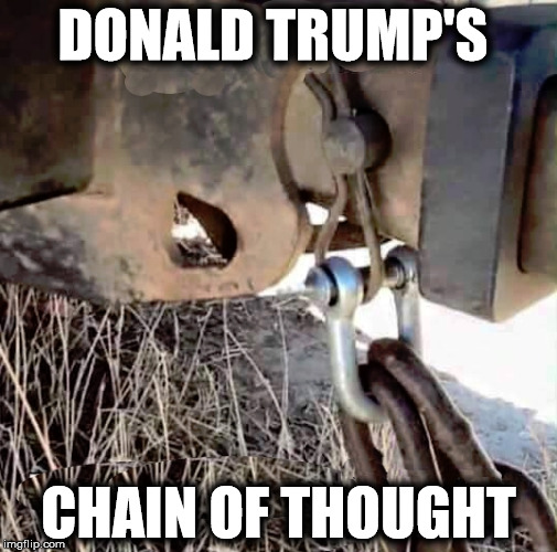 trump | DONALD TRUMP'S; CHAIN OF THOUGHT | image tagged in donald trump,trump | made w/ Imgflip meme maker