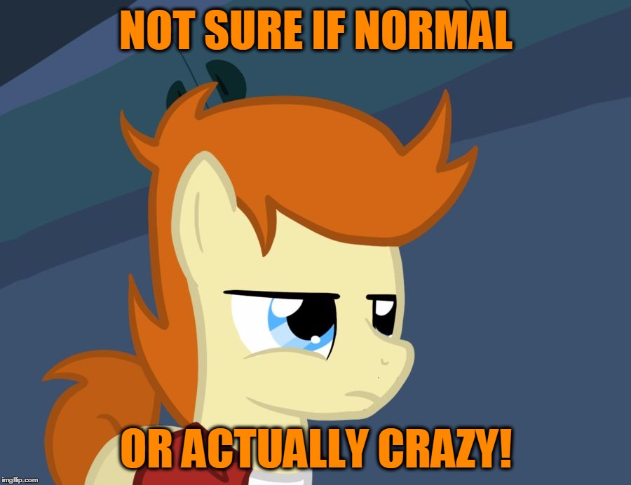 Futurama Fry Pony | NOT SURE IF NORMAL OR ACTUALLY CRAZY! | image tagged in futurama fry pony | made w/ Imgflip meme maker