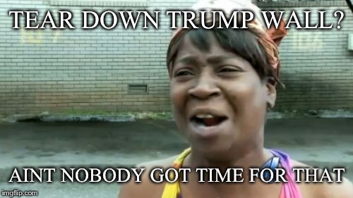 Ain't Nobody Got Time For That Meme | TEAR DOWN TRUMP WALL? AINT NOBODY GOT TIME FOR THAT | image tagged in memes,aint nobody got time for that | made w/ Imgflip meme maker