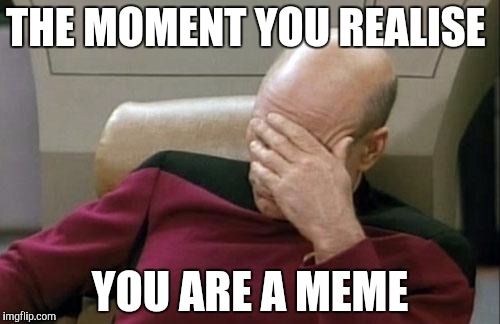 Captain Picard Facepalm | THE MOMENT YOU REALISE; YOU ARE A MEME | image tagged in memes,captain picard facepalm | made w/ Imgflip meme maker