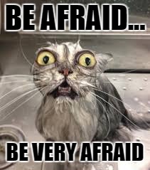 scaredy cat | BE AFRAID... BE VERY AFRAID | image tagged in the fly,angry wet cat | made w/ Imgflip meme maker