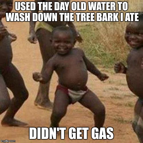 USED THE DAY OLD WATER TO WASH DOWN THE TREE BARK I ATE DIDN'T GET GAS | image tagged in memes,third world success kid | made w/ Imgflip meme maker