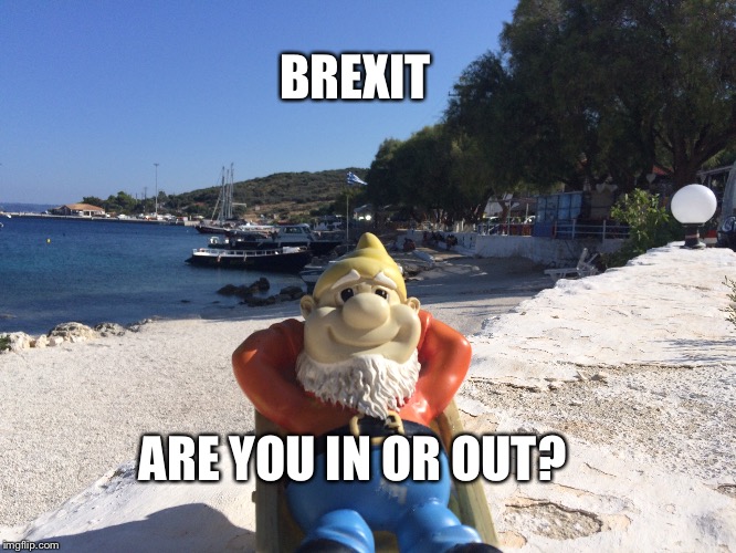 BREXIT  | BREXIT; ARE YOU IN OR OUT? | image tagged in funny,politics | made w/ Imgflip meme maker