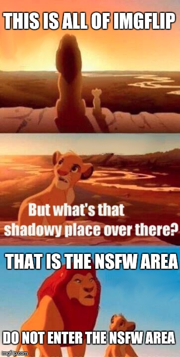 Simba Shadowy Place Meme | THIS IS ALL OF IMGFLIP; THAT IS THE NSFW AREA; DO NOT ENTER THE NSFW AREA | image tagged in memes,simba shadowy place | made w/ Imgflip meme maker