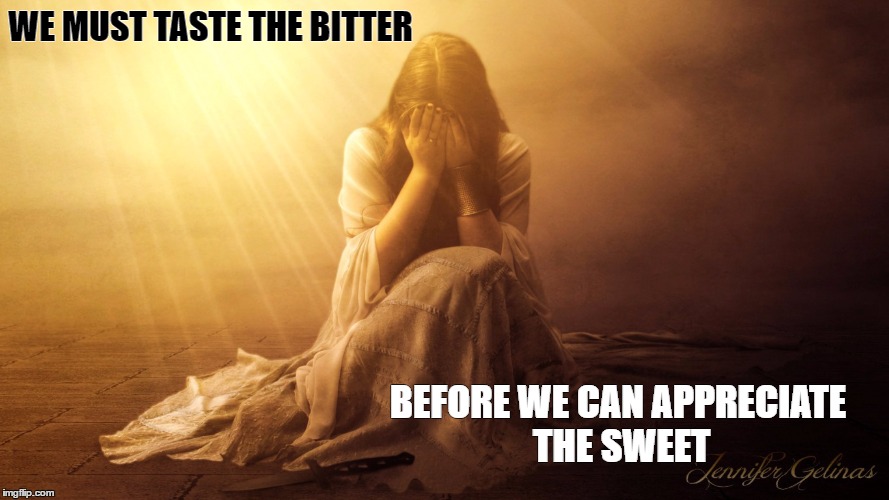 WE MUST TASTE THE BITTER; BEFORE WE CAN APPRECIATE THE SWEET | image tagged in bitter,sweet,appreciate | made w/ Imgflip meme maker
