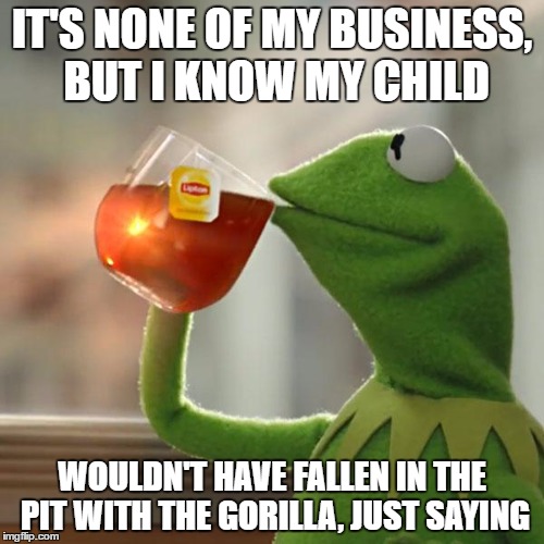 But That's None Of My Business | IT'S NONE OF MY BUSINESS, BUT I KNOW MY CHILD; WOULDN'T HAVE FALLEN IN THE PIT WITH THE GORILLA, JUST SAYING | image tagged in memes,but thats none of my business,kermit the frog | made w/ Imgflip meme maker