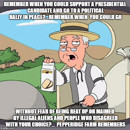 Pepperidge Farm Remembers | REMEMBER WHEN YOU COULD SUPPORT A PRESIDENTIAL CANDIDATE AND GO TO A POLITICAL RALLY IN PEACE?...REMEMBER WHEN  YOU COULD GO; WITHOUT FEAR OF BEING BEAT UP OR MAIMED BY ILLEGAL ALIENS AND PEOPLE WHO DISAGREED WITH YOUR CHOICE?...  PEPPERIDGE FARM REMEMBERS | image tagged in memes,pepperidge farm remembers | made w/ Imgflip meme maker