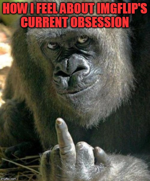 This template is oddly topical. | HOW I FEEL ABOUT IMGFLIP'S CURRENT OBSESSION | image tagged in harambe,memes,news,gorilla flipping bird,shut up | made w/ Imgflip meme maker