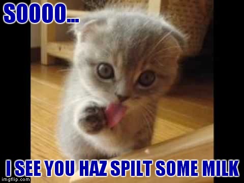 I made this for the many scholars and patriots from all corners of the political Polygon | SOOOO... I SEE YOU HAZ SPILT SOME MILK | image tagged in cute cat,spilled,milk | made w/ Imgflip meme maker
