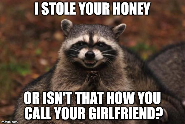 evil genius racoon | I STOLE YOUR HONEY; OR ISN'T THAT HOW YOU CALL YOUR GIRLFRIEND? | image tagged in evil genius racoon | made w/ Imgflip meme maker