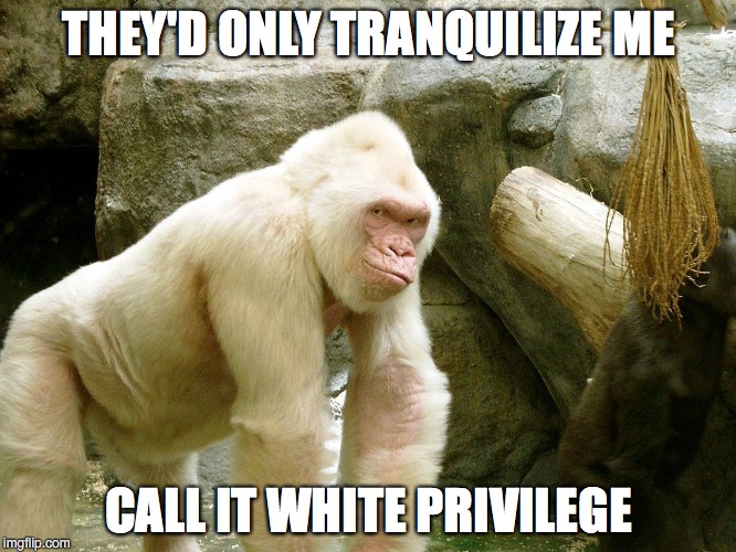 White Privilege | THEY'D ONLY TRANQUILIZE ME; CALL IT WHITE PRIVILEGE | image tagged in black lives matter | made w/ Imgflip meme maker