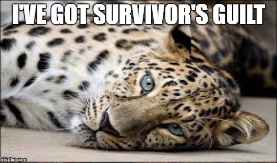 I'VE GOT SURVIVOR'S GUILT | made w/ Imgflip meme maker