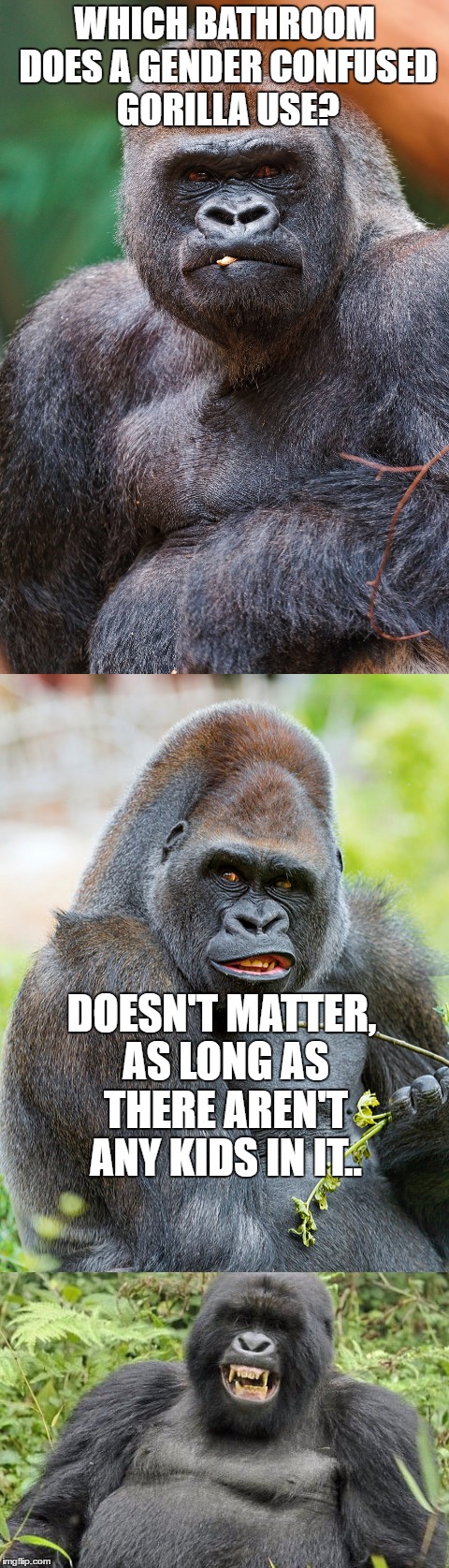 Bad Pun Gorilla  | WHICH BATHROOM DOES A GENDER CONFUSED GORILLA USE? DOESN'T MATTER, AS LONG AS THERE AREN'T ANY KIDS IN IT.. | image tagged in bad pun gorilla,memes,lol,lynch1979,gorilla | made w/ Imgflip meme maker