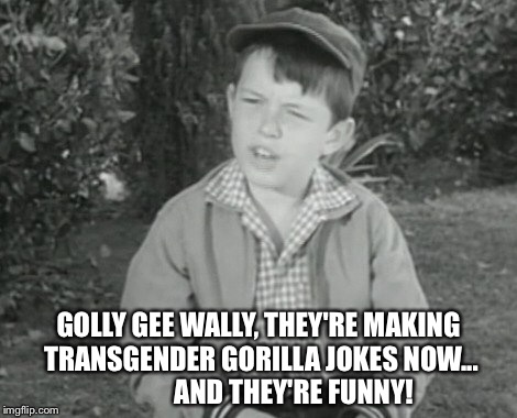 GOLLY GEE WALLY, THEY'RE MAKING TRANSGENDER GORILLA JOKES NOW...             AND THEY'RE FUNNY! | made w/ Imgflip meme maker