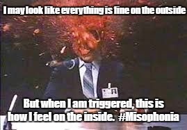 Exploding head | I may look like everything is fine on the outside; But when I am triggered, this is how I feel on the inside.  #Misophonia | image tagged in exploding head | made w/ Imgflip meme maker