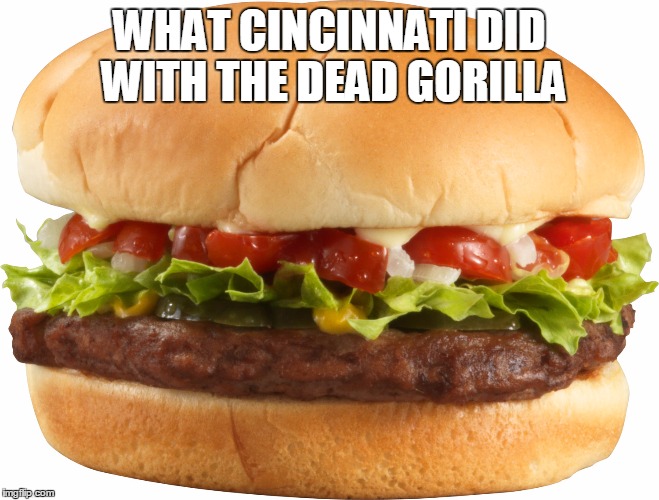 MMMMMMM! | WHAT CINCINNATI DID WITH THE DEAD GORILLA | image tagged in hamburger | made w/ Imgflip meme maker