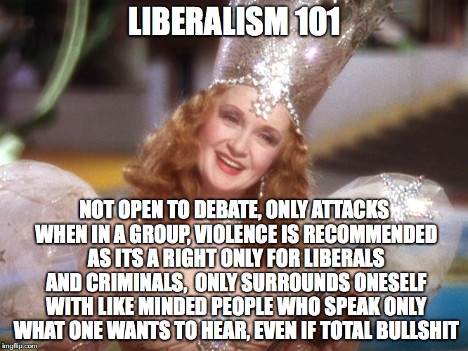 good witch wizard of oz neoliberalism meme | LIBERALISM 101; NOT OPEN TO DEBATE, ONLY ATTACKS WHEN IN A GROUP, VIOLENCE IS RECOMMENDED AS ITS A RIGHT ONLY FOR LIBERALS AND CRIMINALS,  ONLY SURROUNDS ONESELF WITH LIKE MINDED PEOPLE WHO SPEAK ONLY WHAT ONE WANTS TO HEAR, EVEN IF TOTAL BULLSHIT | image tagged in good witch wizard of oz neoliberalism meme | made w/ Imgflip meme maker