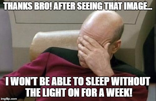 Captain Picard Facepalm Meme | THANKS BRO! AFTER SEEING THAT IMAGE... I WON'T BE ABLE TO SLEEP WITHOUT THE LIGHT ON FOR A WEEK! | image tagged in memes,captain picard facepalm | made w/ Imgflip meme maker