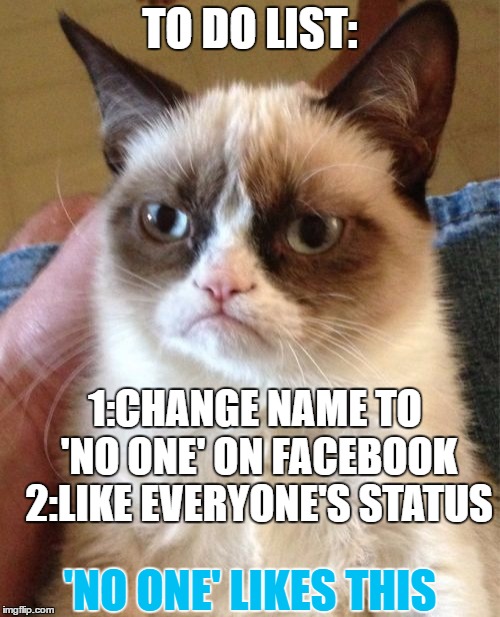 Sorry if you seen this. :) | TO DO LIST:; 1:CHANGE NAME TO 'NO ONE' ON FACEBOOK 2:LIKE EVERYONE'S STATUS; 'NO ONE' LIKES THIS | image tagged in memes,grumpy cat | made w/ Imgflip meme maker