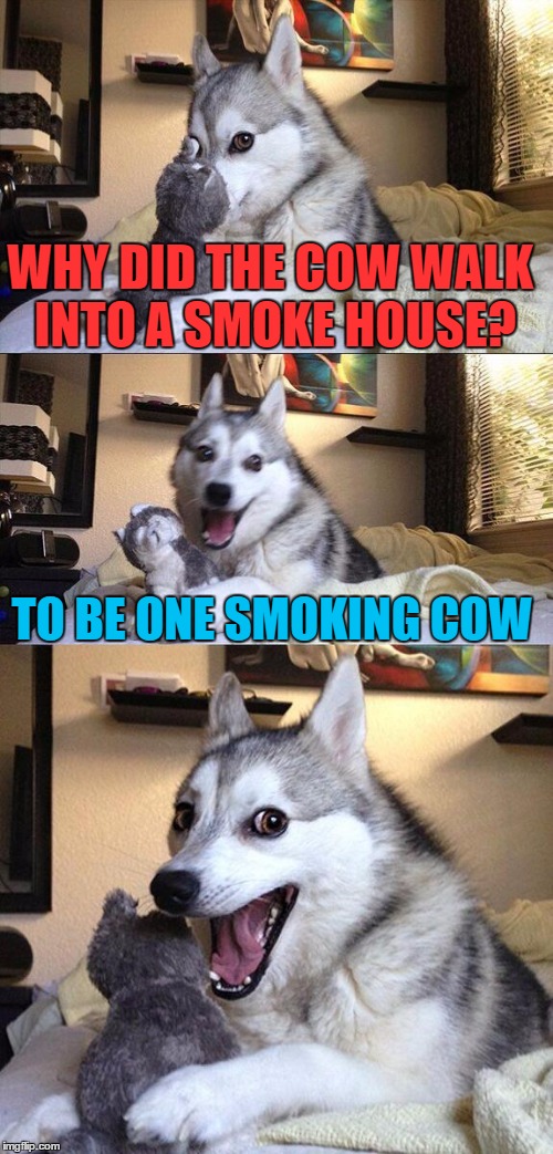 Bad Pun Dog Meme | WHY DID THE COW WALK INTO A SMOKE HOUSE? TO BE ONE SMOKING COW | image tagged in memes,bad pun dog | made w/ Imgflip meme maker