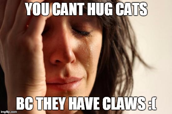 First World Problems | YOU CANT HUG CATS; BC THEY HAVE CLAWS :( | image tagged in memes,first world problems | made w/ Imgflip meme maker