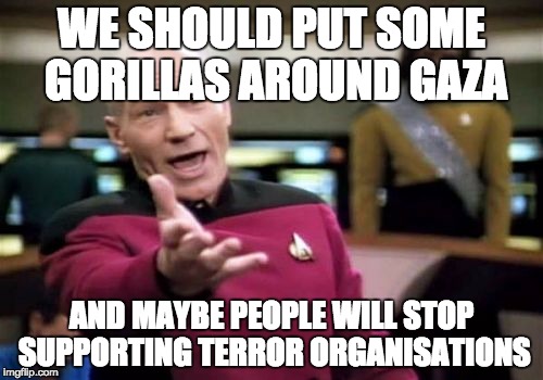 So true it's sad. | WE SHOULD PUT SOME GORILLAS AROUND GAZA; AND MAYBE PEOPLE WILL STOP SUPPORTING TERROR ORGANISATIONS | image tagged in memes,picard wtf | made w/ Imgflip meme maker