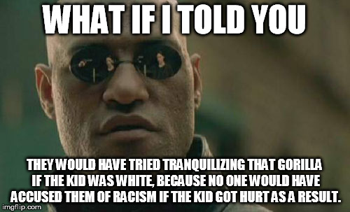 Matrix Morpheus Meme | WHAT IF I TOLD YOU THEY WOULD HAVE TRIED TRANQUILIZING THAT GORILLA IF THE KID WAS WHITE, BECAUSE NO ONE WOULD HAVE ACCUSED THEM OF RACISM I | image tagged in memes,matrix morpheus | made w/ Imgflip meme maker