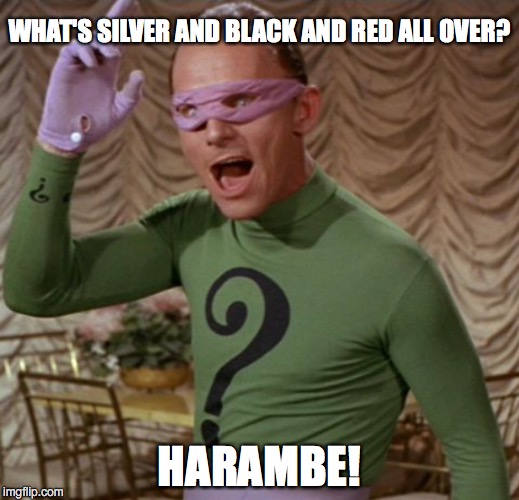 The Riddler | WHAT'S SILVER AND BLACK AND RED ALL OVER? HARAMBE! | image tagged in riddler,current events | made w/ Imgflip meme maker